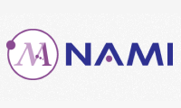 Nano and Advanced Materials Institute